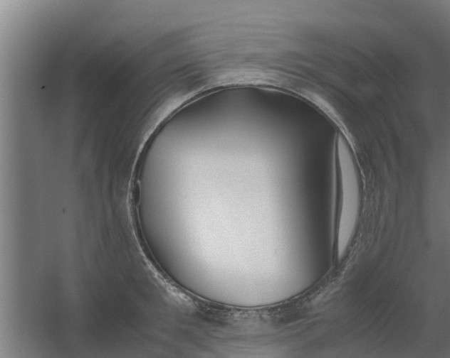 X0000059800901200511041624