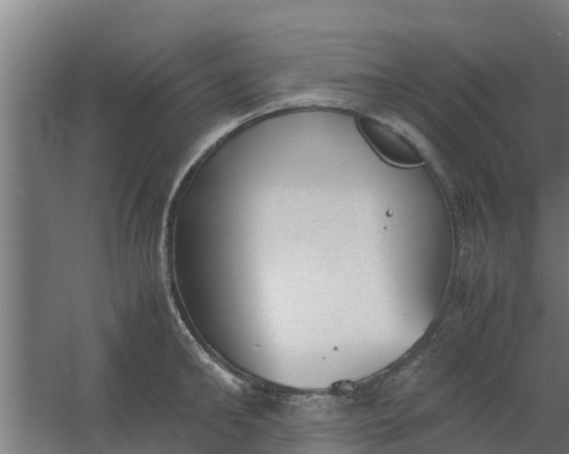 X0000059800902200511041624