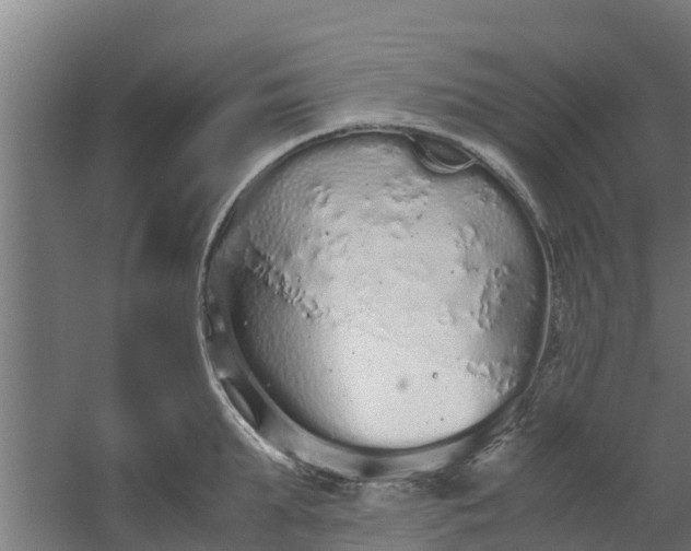 X0000059800903200511041624