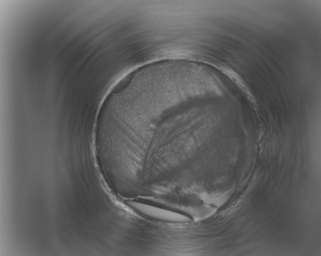 X0000059800904200511041624