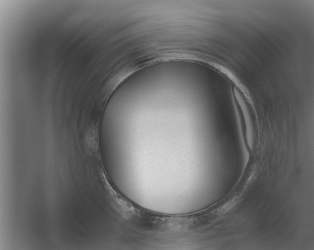 X0000059800905200511041624