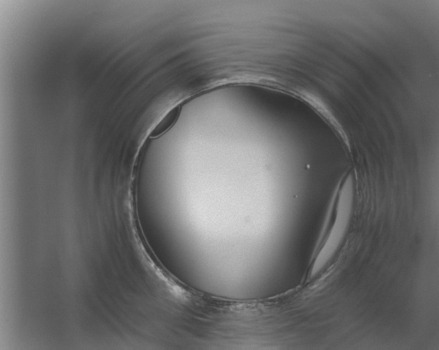 X0000059800906200511041623