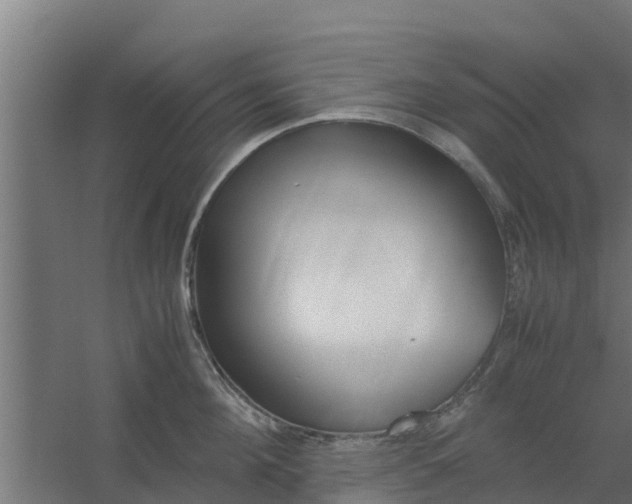 X0000059800908200511041623