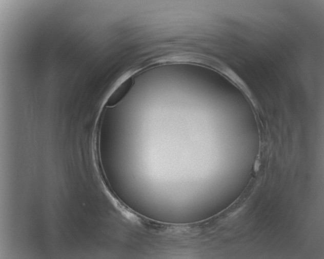 X0000059800909200511041623