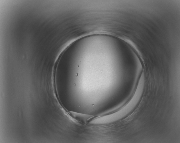 X0000059800910200511041623