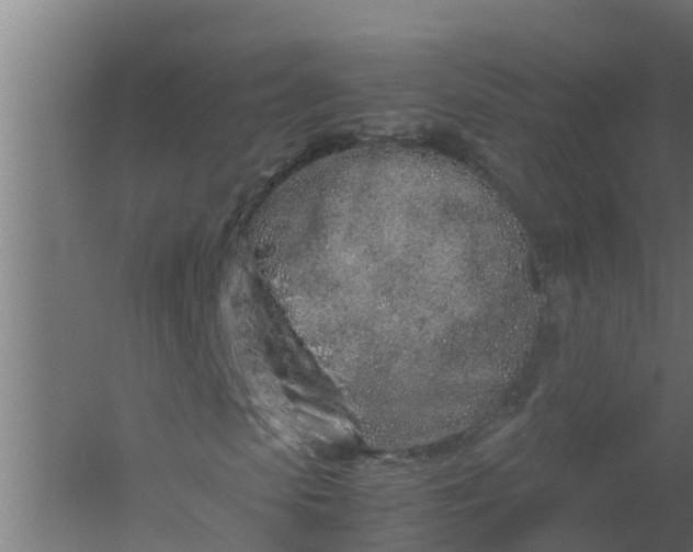 X0000059800913200511041623