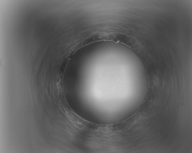 X0000059800914200511041623