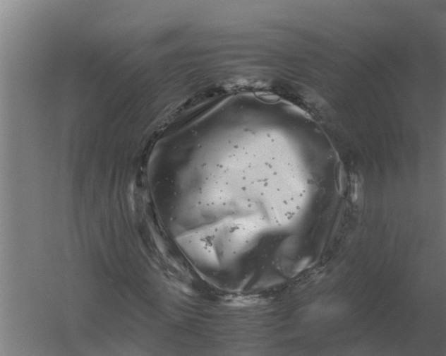 X0000059800915200511041623