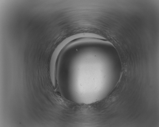 X0000059800916200511041623