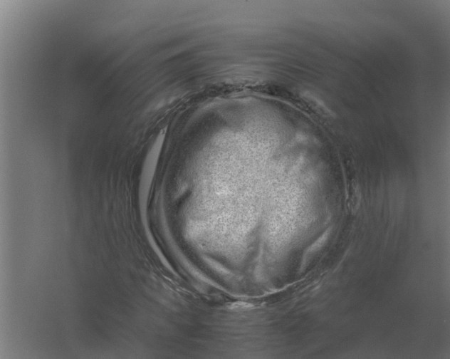 X0000059800917200511041623