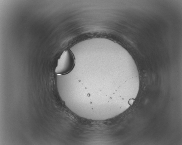 X0000059800918200511041623