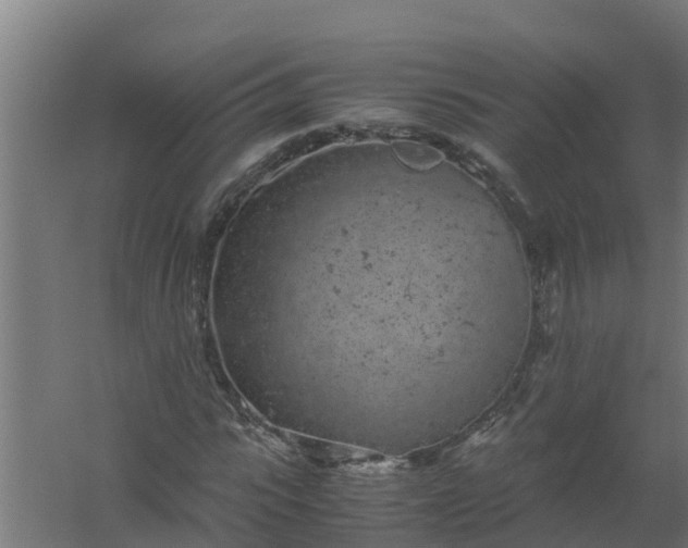 X0000059800919200511041623