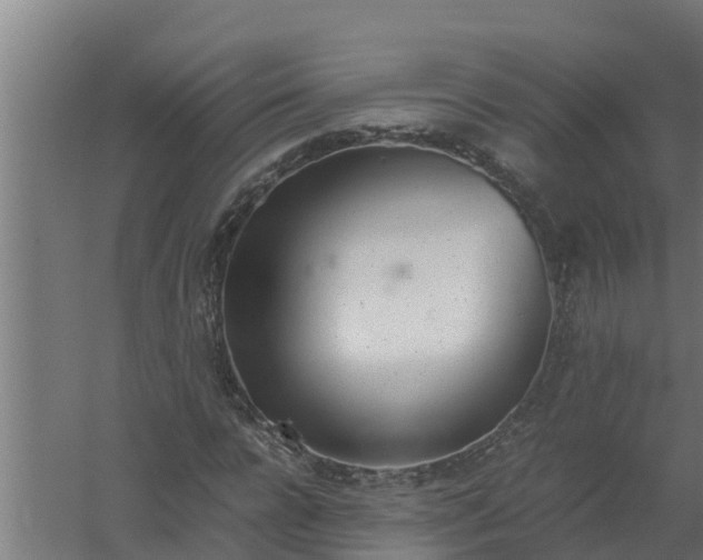 X0000059800920200511041623