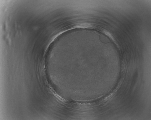 X0000059800923200511041623