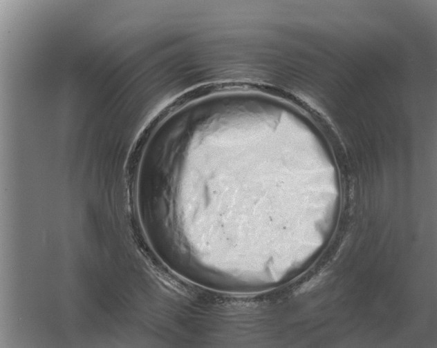 X0000059800925200511041623