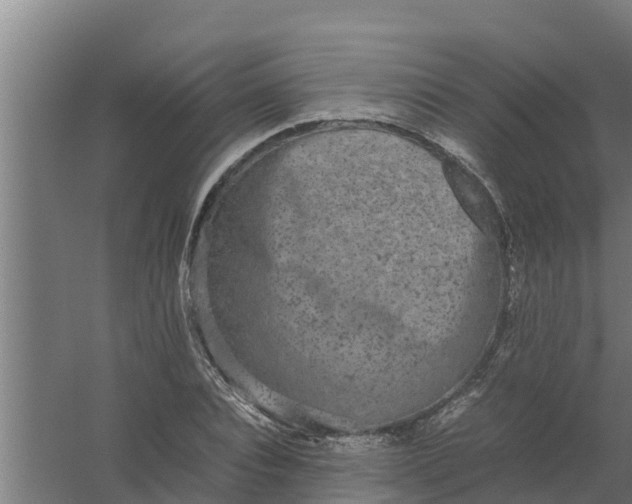 X0000059800928200511041623