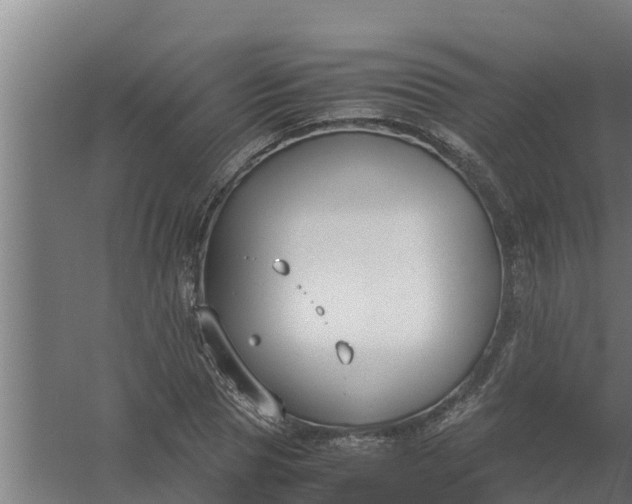 X0000059800929200511041623