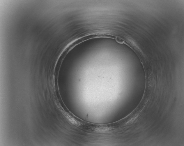 X0000059800932200511041623