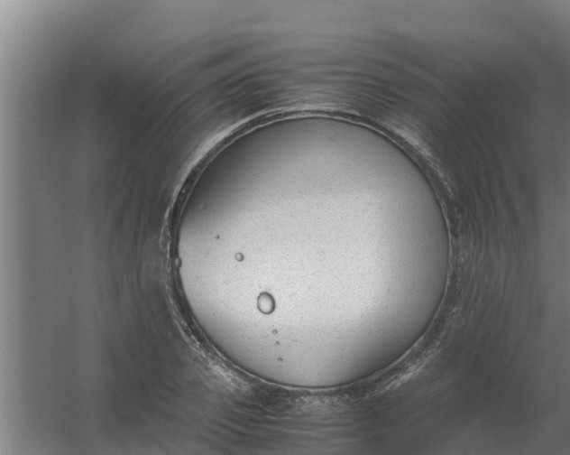 X0000059800933200511041623