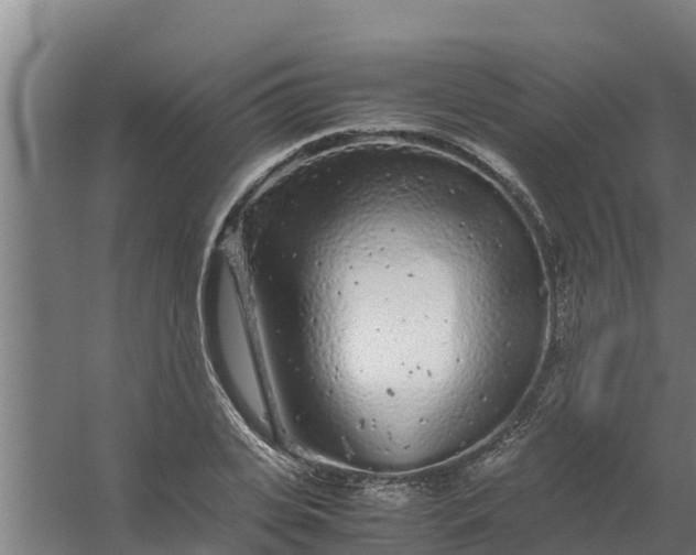 X0000059800935200511041623