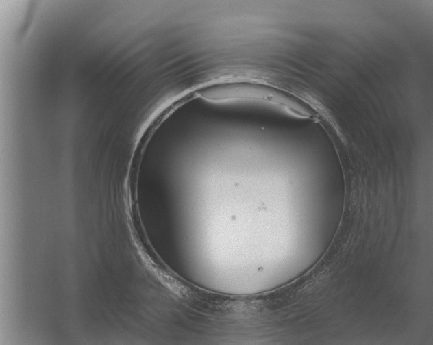 X0000059800936200511041623