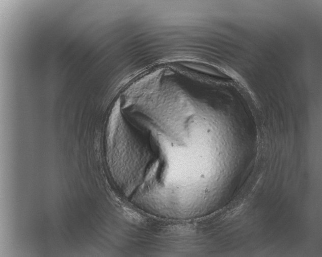 X0000059800937200511041623