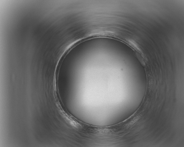 X0000059800940200511041623