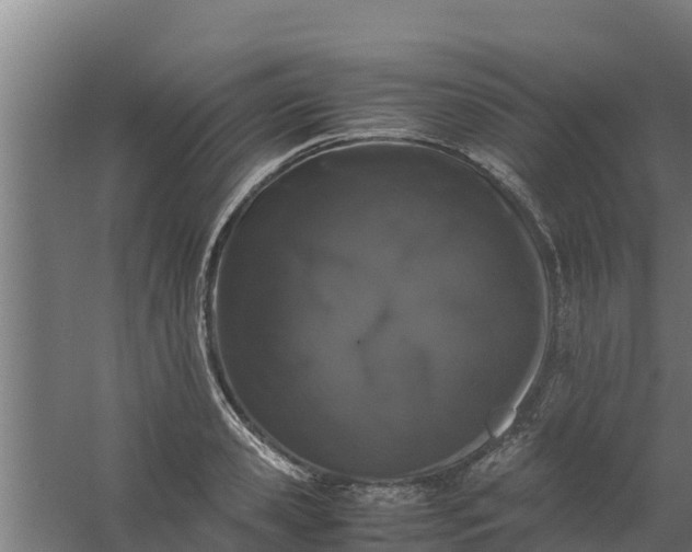 X0000059800941200511041623