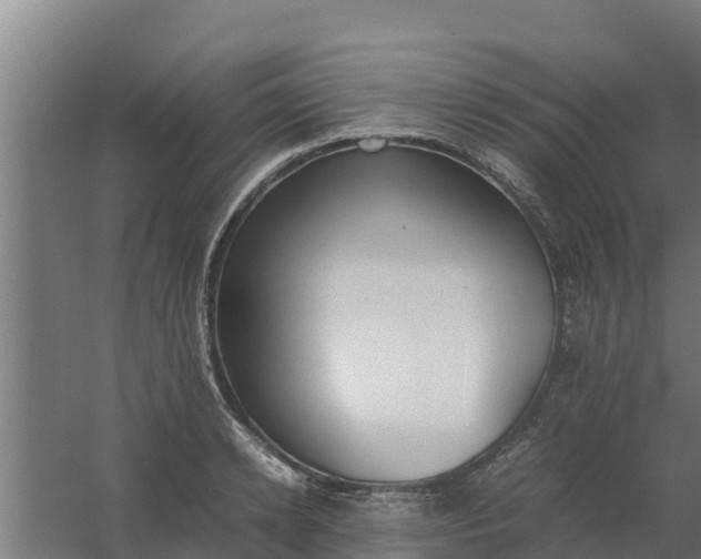 X0000059800942200511041623