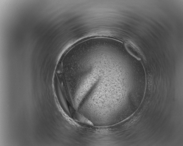 X0000059800944200511041623