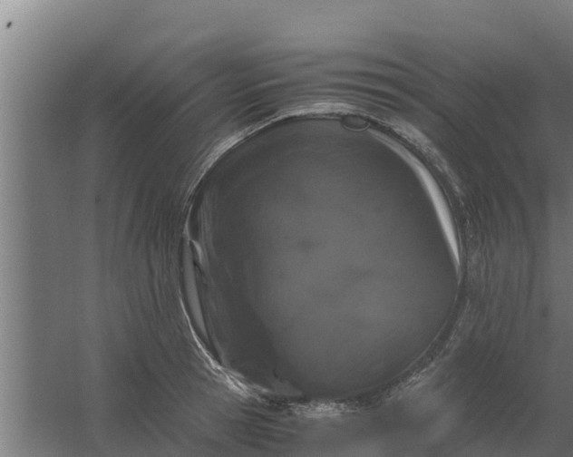 X0000059800945200511041623