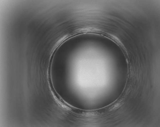 X0000059800946200511041623