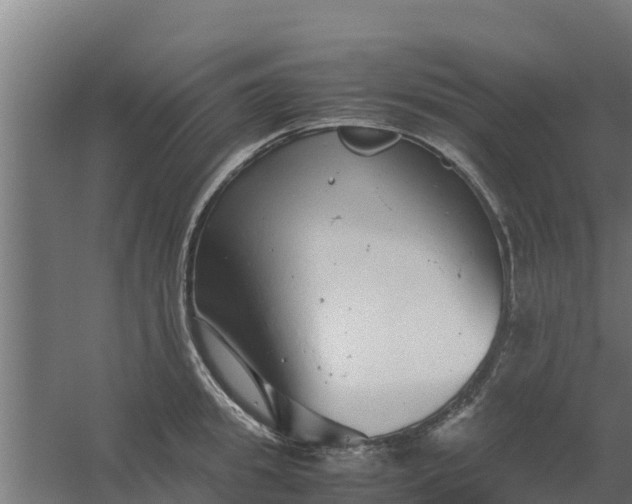 X0000059800949200511041623