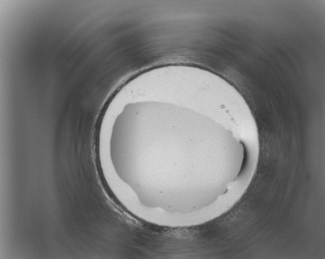 X0000059800950200511041623