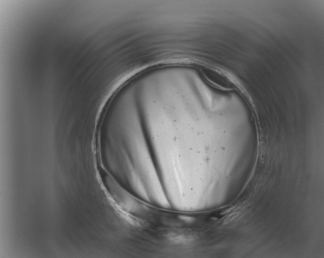 X0000059800951200511041623