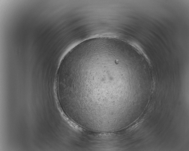 X0000059800952200511041623