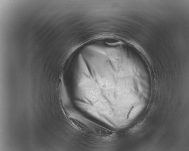 X0000059800953200511041623