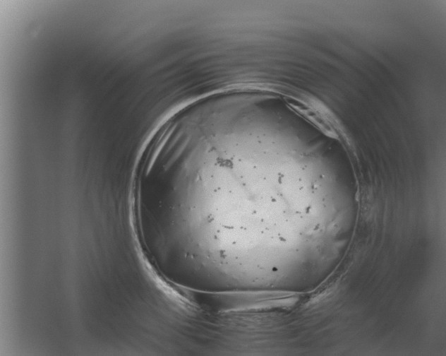 X0000059800955200511041623