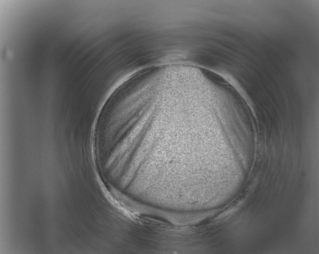 X0000059800957200511041623