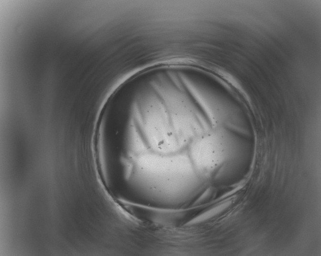 X0000059800959200511041623