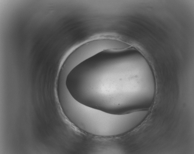 X0000059800960200511041623