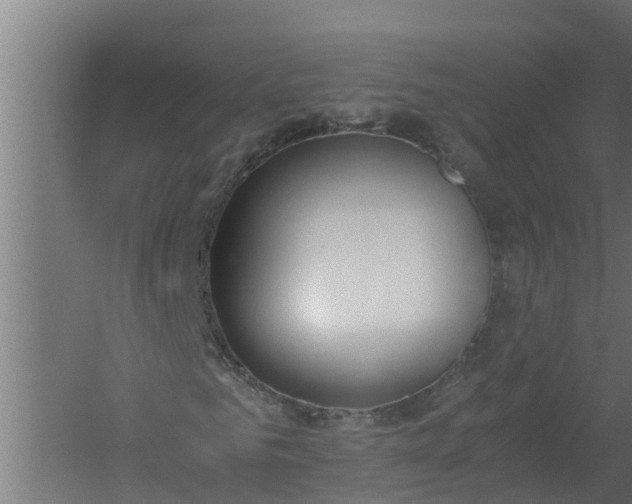 X0000059800961200511041623