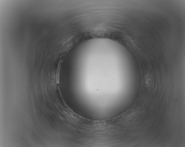 X0000059800964200511041623