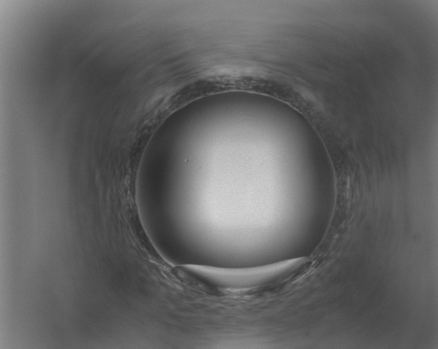 X0000059800965200511041622