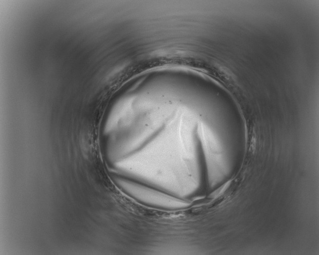 X0000059800966200511041622