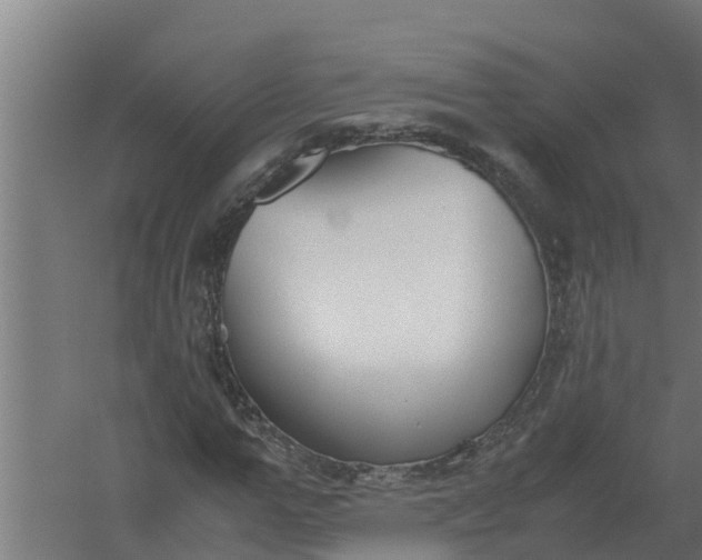 X0000059800967200511041622