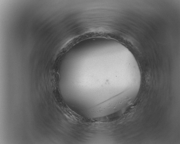 X0000059800968200511041622