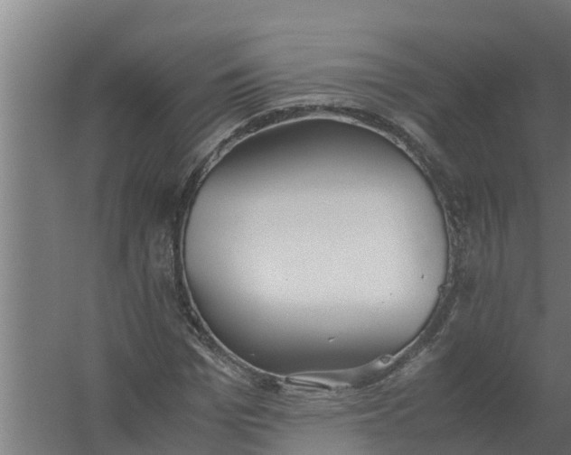 X0000059800969200511041622