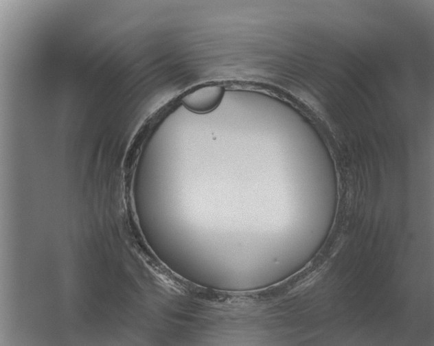 X0000059800974200511041622