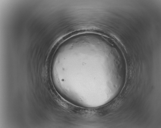 X0000059800975200511041622